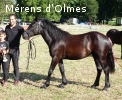 HYMNE D'OLMES: Pouliche