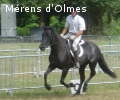 ORIEGE D'OLMES: Poulinière Elite